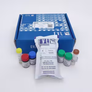 Canine Anti-Thyroglobulin Antibody SRE
