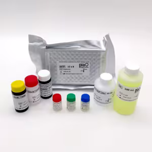 VetLine Feline Leukemia Virus (FeLV), Elisa kit