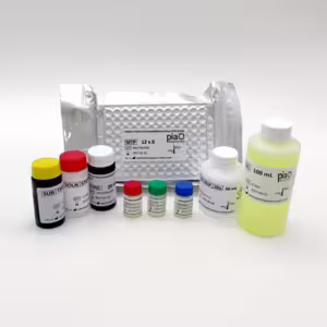 VetLine Feline Immunod. Virus (FIV), Elisa kit