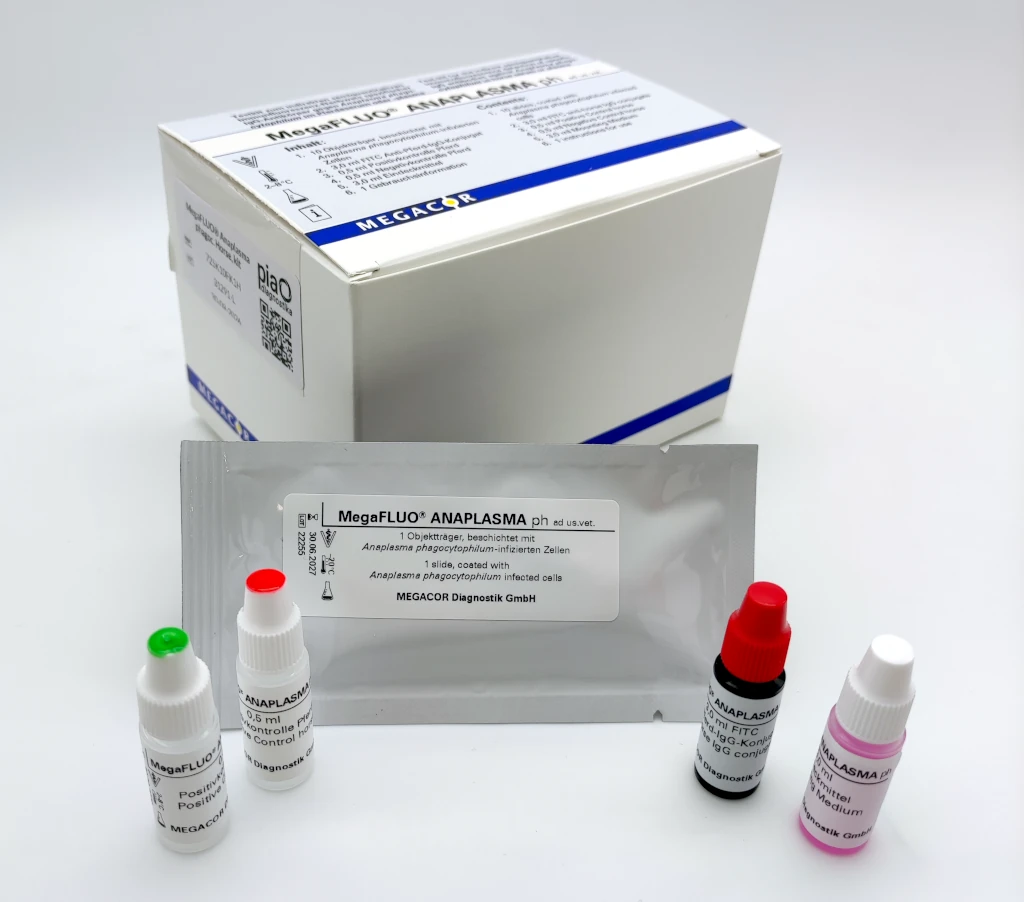 MegaFLUO® Anaplasma phagoc. Horse, kit