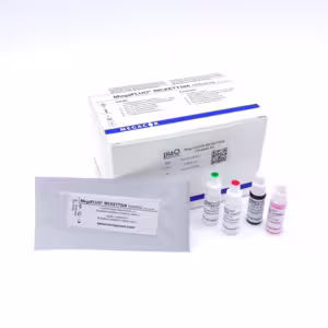 MegaFLUO® RICKETTSIA rickettsii, kit