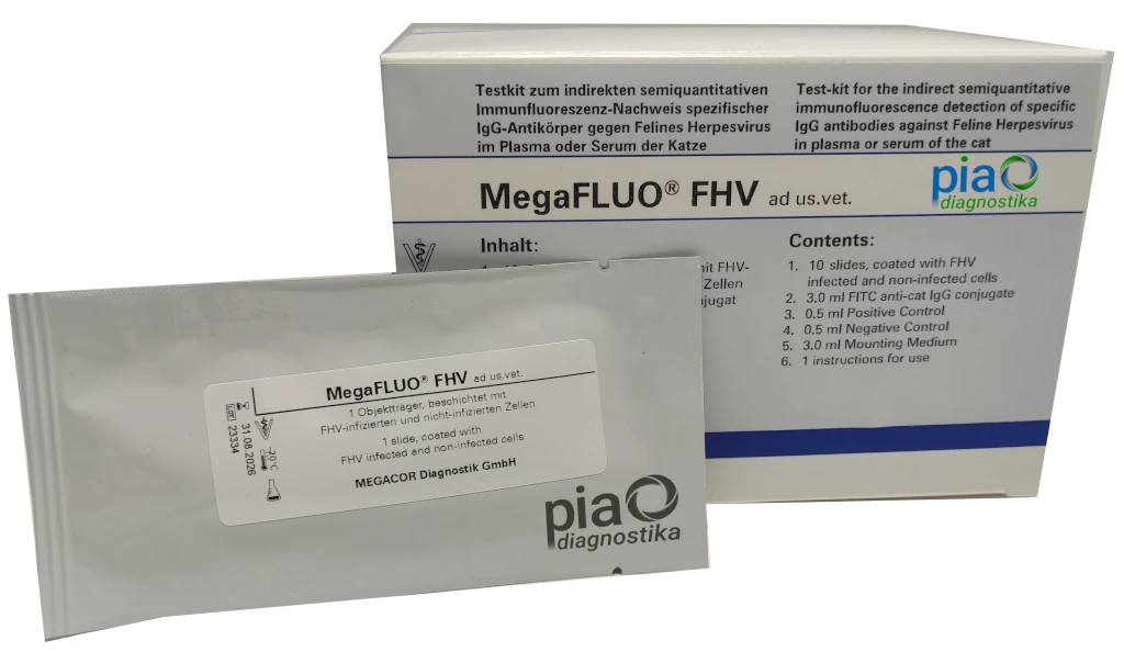 MegaFLUO® FHV (feline herpesvirus), 10 slides