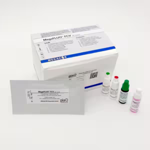 MegaFLUO® FCV (calicivirus felino), kit