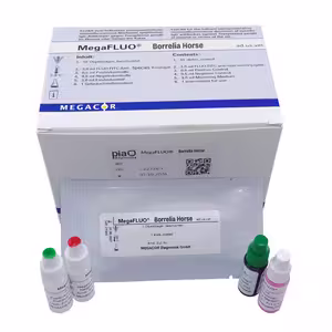 MegaFLUO® Borrelia Pferd, kit