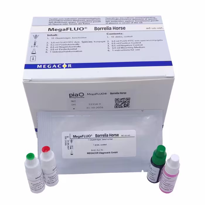722K10FK1 MegaFLUO® Borrelia Pferd, kit