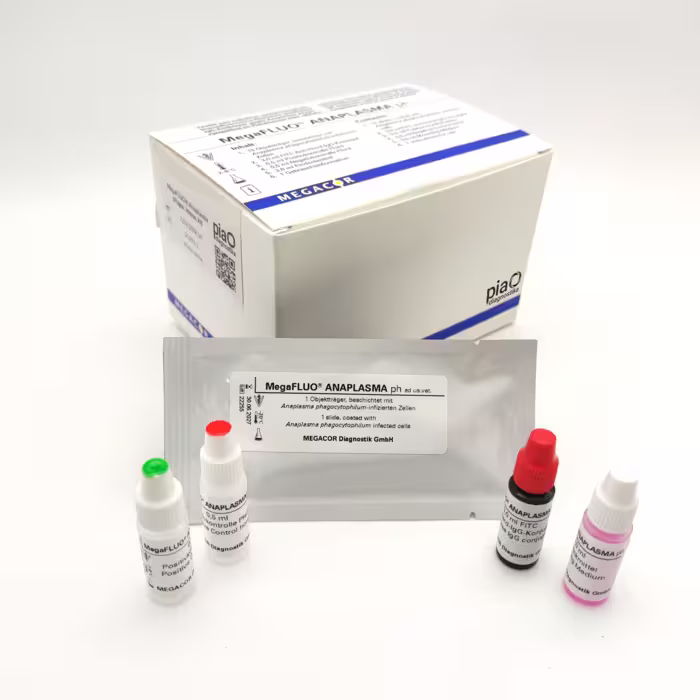 725K10FK1H MegaFLUO® Anaplasma phagoc. Pferd, kit