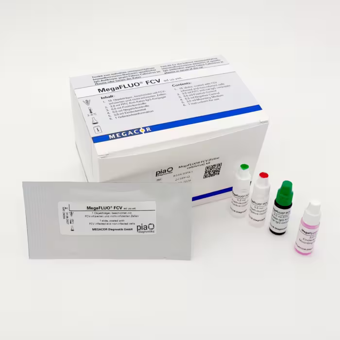 816K10FK1 MegaFLUO® FCV (calicivirus felino), kit