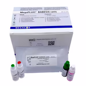 MegaFLUO® Babesia canis, kit