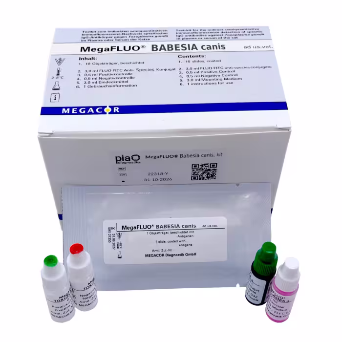 822K10FK1 MegaFLUO® Babesia canis, kit