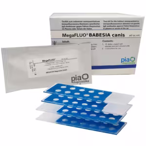 MegaFLUO® Babesia canis, 10 portas