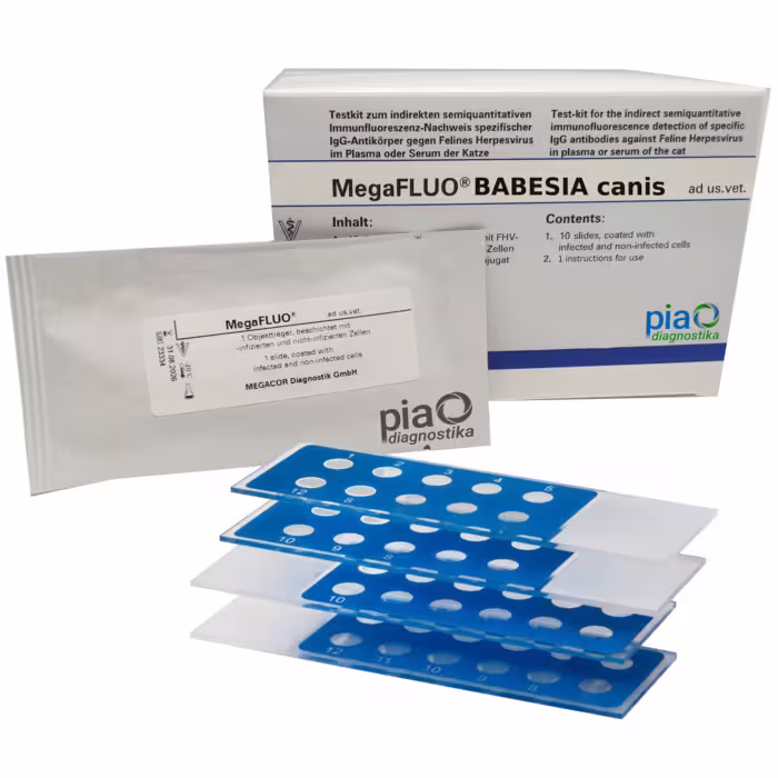 822S10FK1 MegaFLUO® Babesia canis, 10 portas