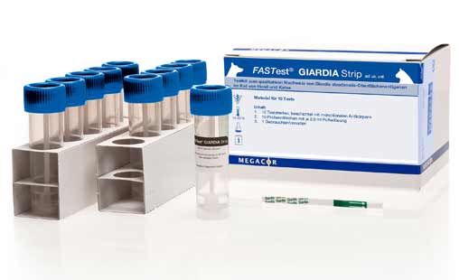 FASTest GIARDIA, tira