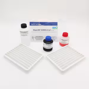 MegaLINE® BORRELIA IgG