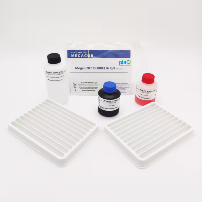 983020WK1 MegaLINE® BORRELIA IgG
