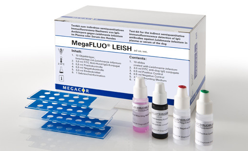 MegaFLUO® Leishmania, kit