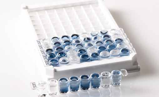 VetLine virus leucemia felina (FeLV), Elisa kit