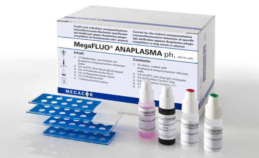 MegaFLUO® Anaplasma phagoc. Horse, kit