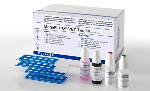 MegaFLUO® Toxoplasma g. (Hunde), kit