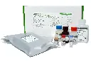 Lentivirus pequeño rumiante (Ac), cELISA Kit