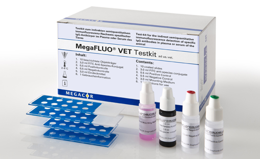 [818S10FK1] MegaFLUO® CPV Canine Parvovirus, 10 Slides
